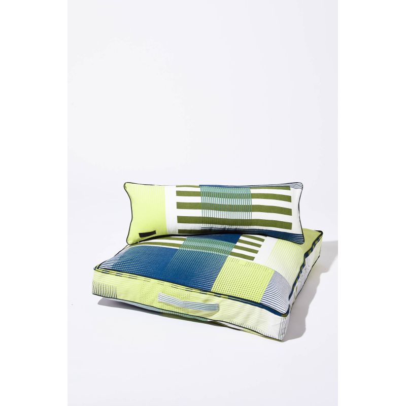 Vibrant Cushion